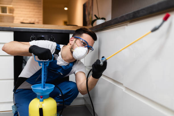 Best Ant Control Services  in Boulder Creek, CA