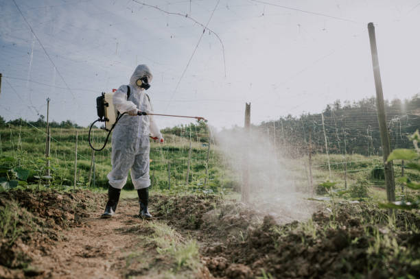 Best Best Pest Control Companies  in Boulder Creek, CA