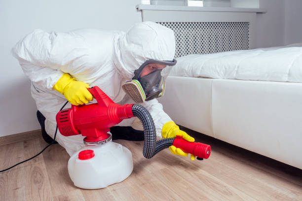 Best Pest Inspection Near Me  in Boulder Creek, CA