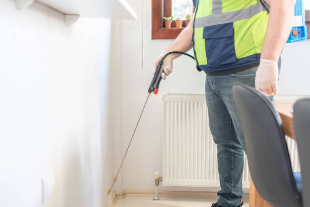 Best Affordable Pest Control Services  in Boulder Creek, CA