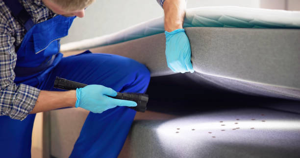 Best Residential Pest Control  in Boulder Creek, CA