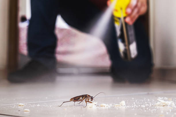 Pest Prevention Services in Boulder Creek, CA